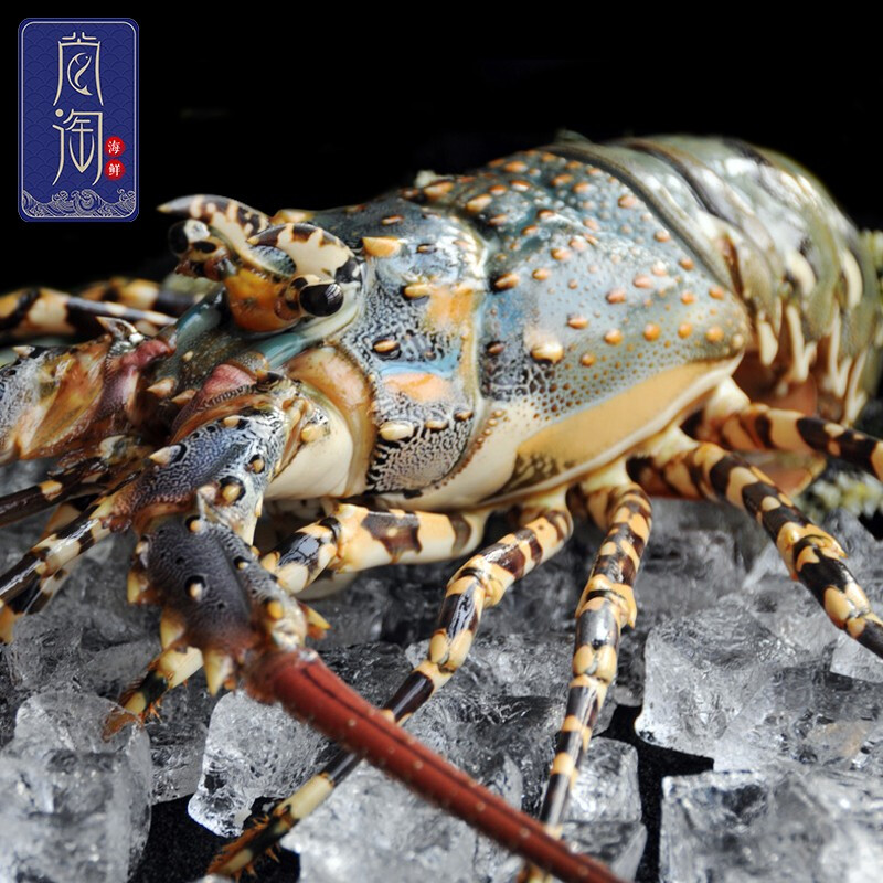 尚淘 新鲜活冻龙虾400g-500g/只 冷冻生鲜 400g-500g/只