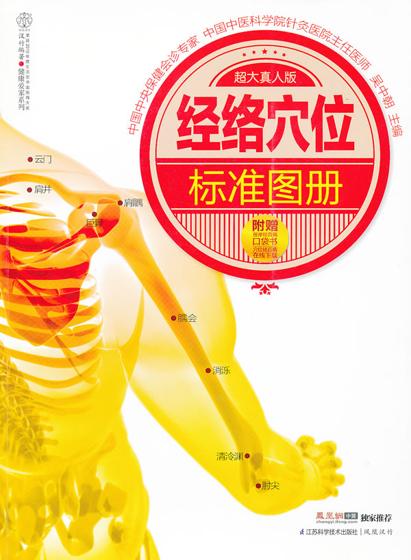 经络穴位标准图册 吴中朝【正版书籍】