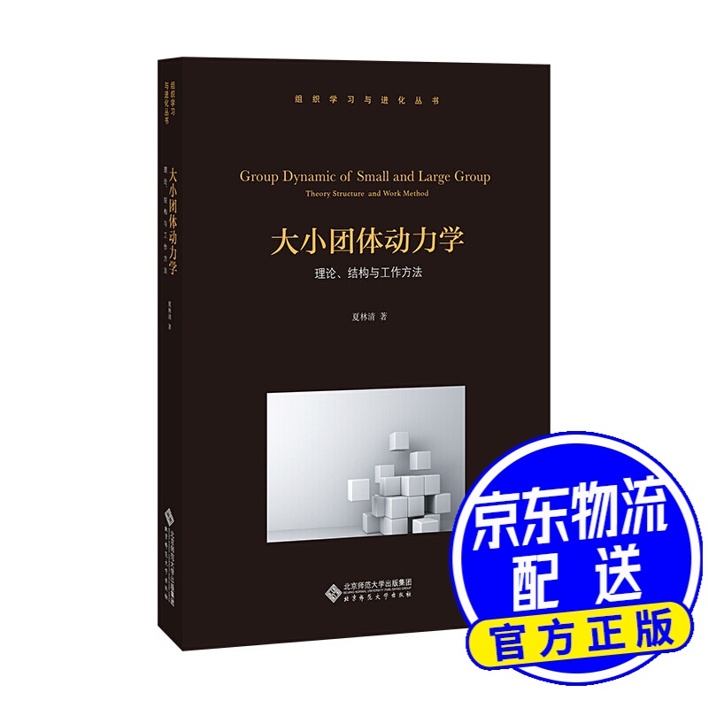 大小团体动力学 : 理论、结构与工作方法