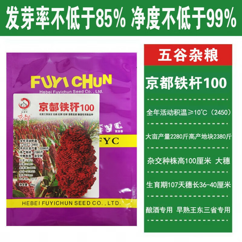 旺园兴京都铁杆100矮杆酒糯高粱红高粱种子早熟东北酿酒高粱籽抗病抗
