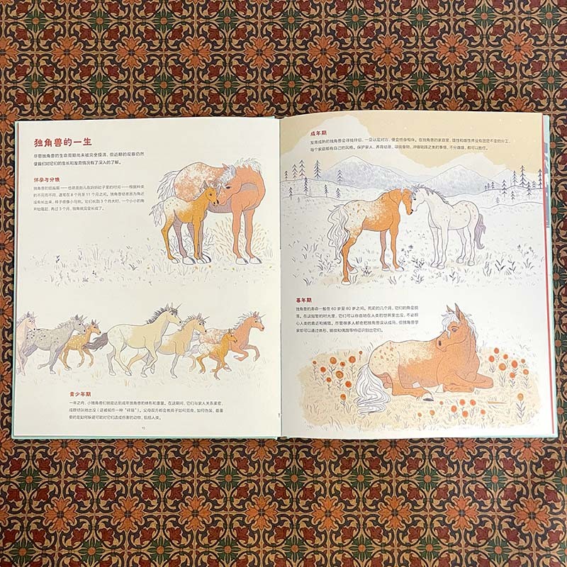 关于独角兽的几乎全部真相