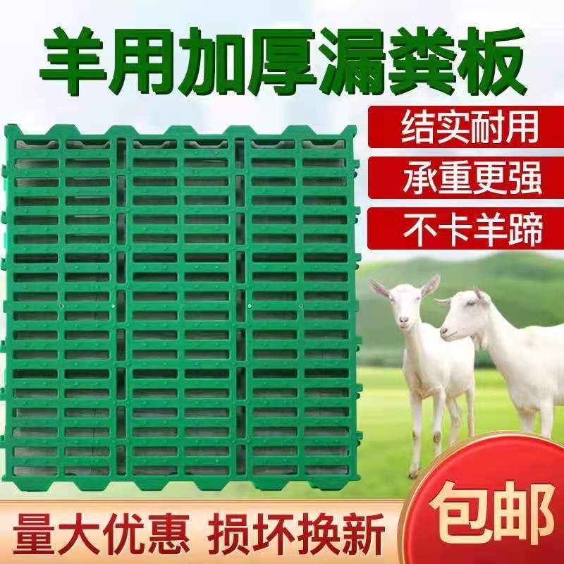 羊床漏粪板羊舍加厚塑料接粪板羊圈养羊专用产床漏粪板养殖场设备 60*60双筋漏粪板