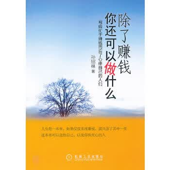 除了赚钱 你还可以做什么【正版书籍】