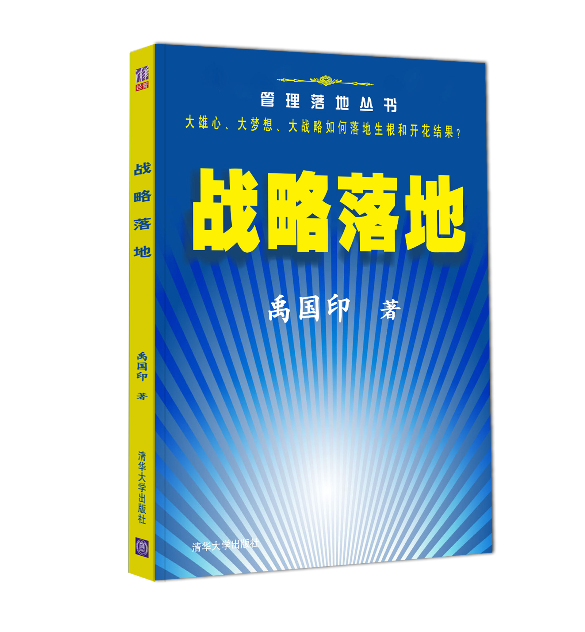 战略落地 禹国印 著【正版书】