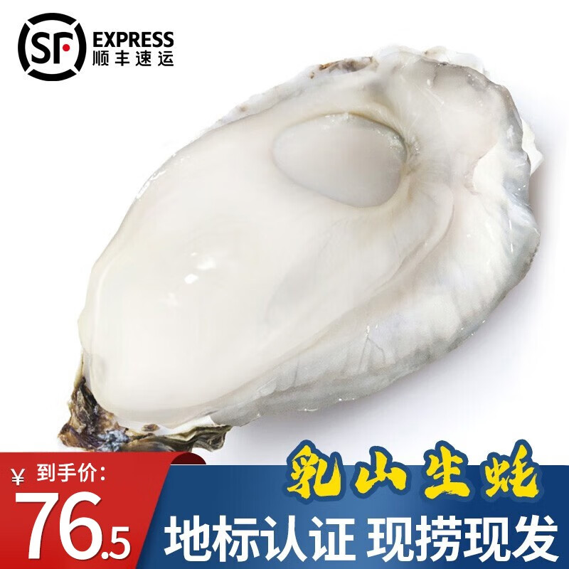 贝类的价格行情与趋势|贝类价格走势