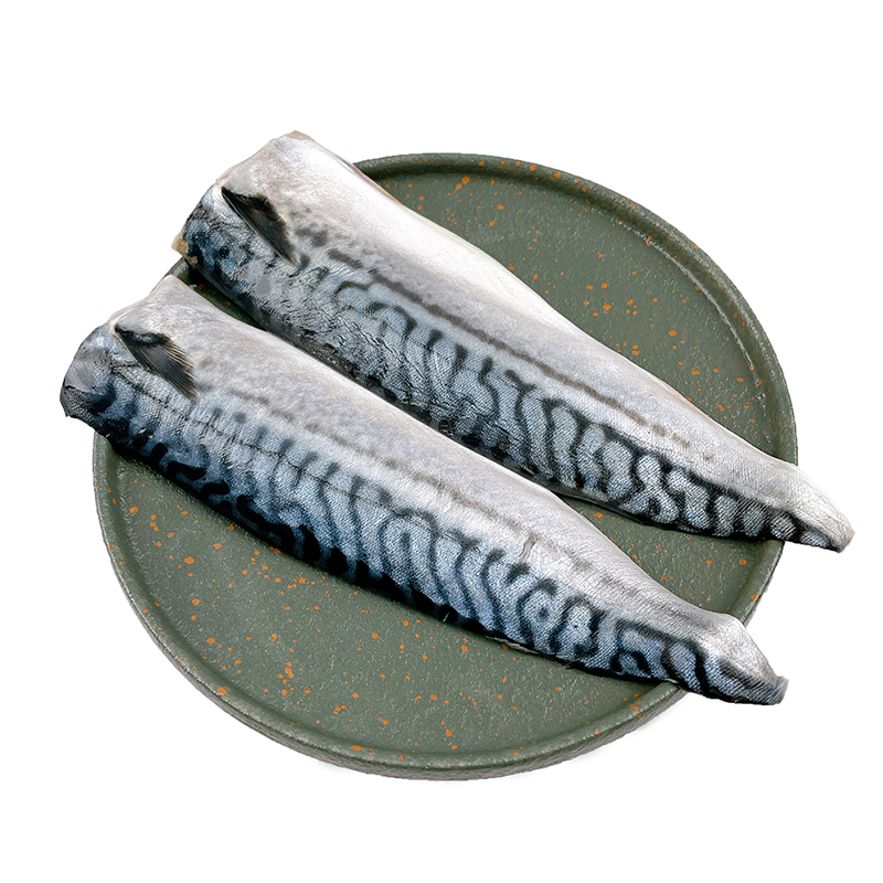 纯色本味 冷冻挪威青花鱼片 鲭鱼片 日料 烧烤  2-3片 300g/袋