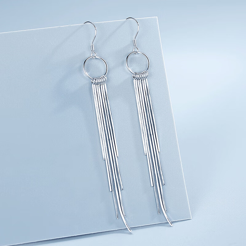 宝铂琳925纯y银耳环女流苏耳坠长款2023新款耳饰品气质耳线银饰耳钉 b