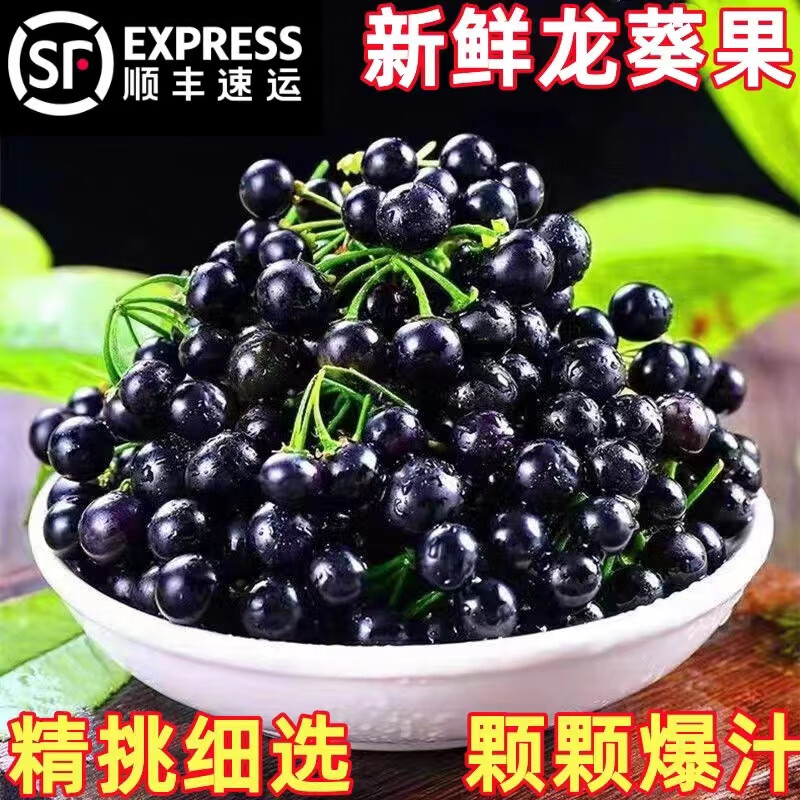 沐瑾【顺丰空运】新鲜龙葵果东北黑天天黑悠悠黑呦呦黑星星新鲜高端水 500g 精选果