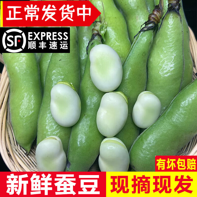 辰實【現(xiàn)摘發(fā)順豐】蠶豆新鮮 現(xiàn)摘帶殼胡豆蔬菜 農(nóng)家羅漢豆 10斤 【新鮮采摘】