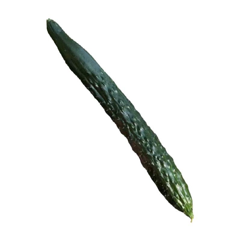 农家新鲜刺黄瓜现摘现发蔬菜减肥早餐新鲜蔬菜生鲜可生吃 农家刺黄瓜 1斤 试吃装