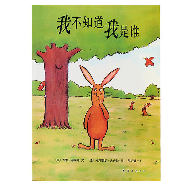 晴朗的 儿童启蒙早教画书绘本故事玩具挂图认知卡 我不知道我是谁