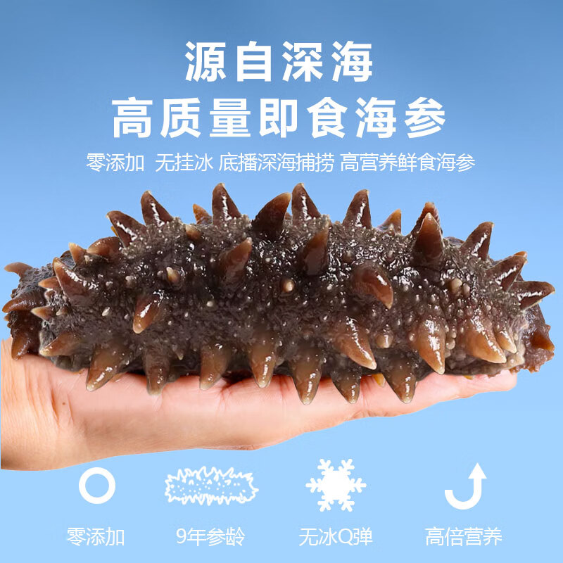 海纳堂即食海参90只独立包装开袋即食刺参礼盒鲜食冷蒸深海底播海参单只 9年参龄1斤4-6只【参王滋补】