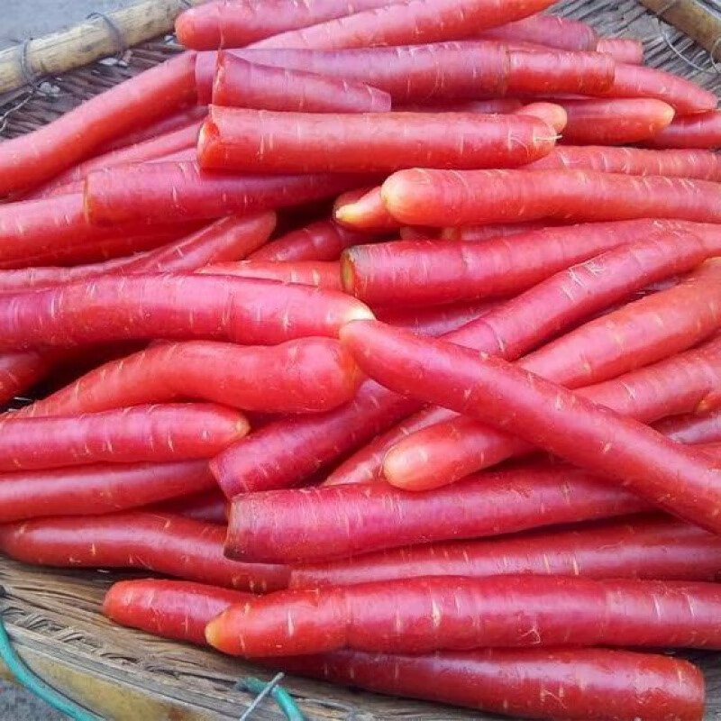 四川红萝卜新鲜:沙地水果胡萝卜农家蔬菜红心脆甜沙窝:甜萝卜 5斤