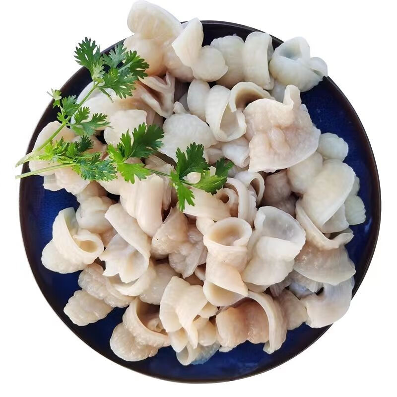 新鲜鲨鱼肠鲨鱼肚脆口肠脆肚原味无添加火锅烤串煎炒网红美味食材 脆