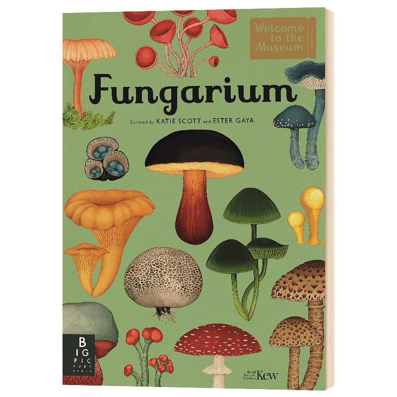 fungarium 精装大开本 自然图鉴 蘑菇类科普绘本 进口原版英语书籍