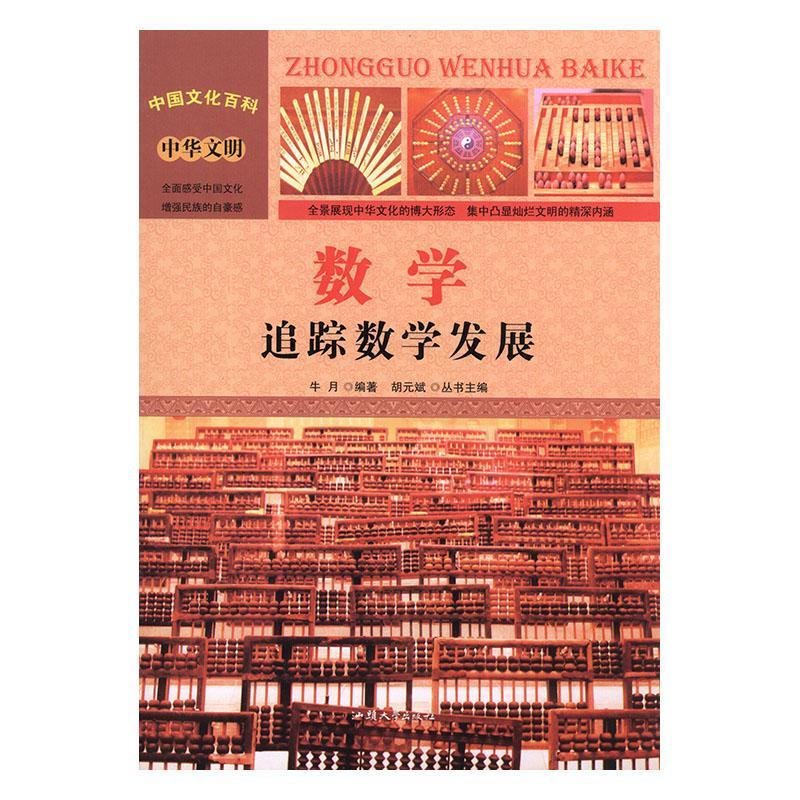 数学:追踪数学发展艺术 图书