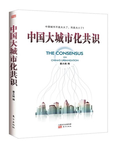 中国大城市化共识 童大焕