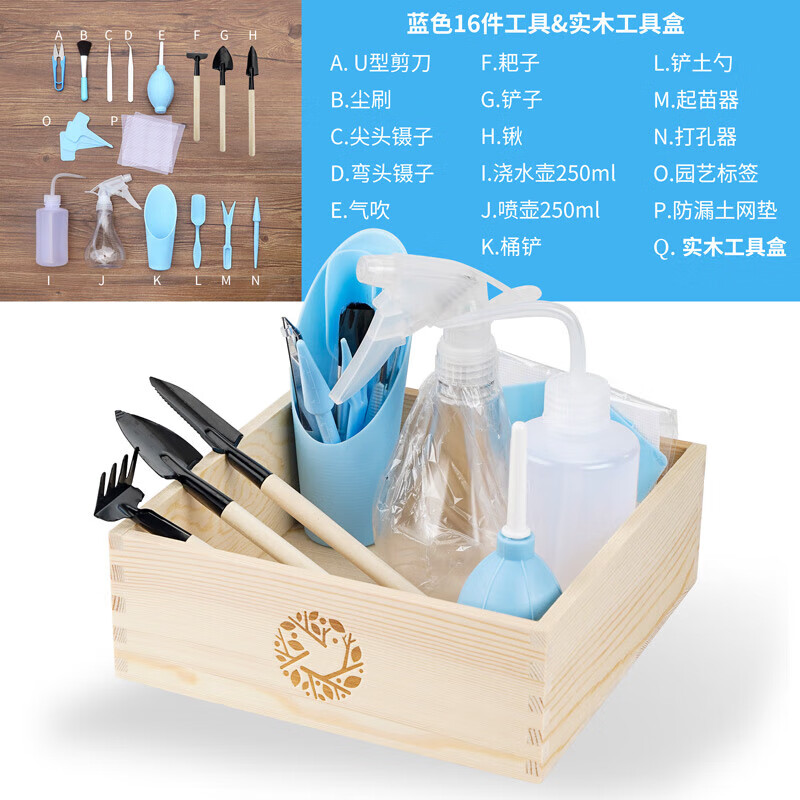 圣比莱多肉工具套装专用植物角种植组合养花肉肉幼儿园园艺家用种花