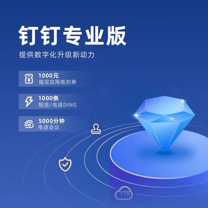 上鼎云启钉钉专业版 专业软件工程师方案设计 vip售后 钉钉专业版 1年