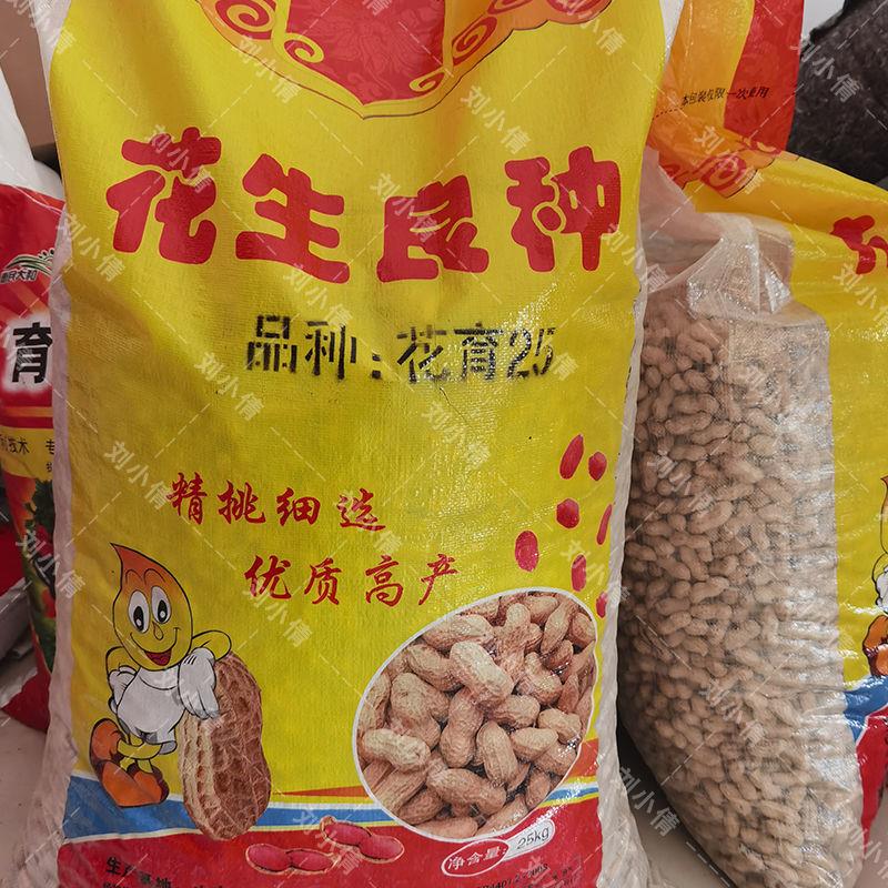 花生种子农科院四粒红花生籽瓜果种子新品种 花育25原种精选带壳一斤