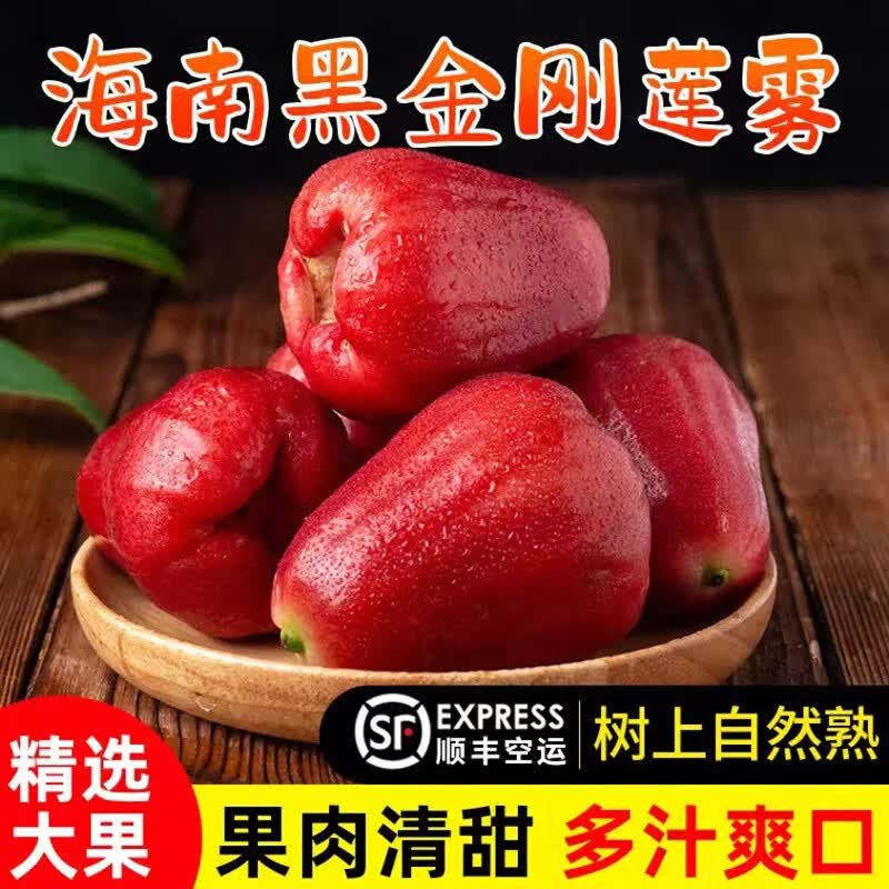 海南莲雾果清甜多汁孕妇新鲜热带水果现摘空运 3斤特大果 单果125g