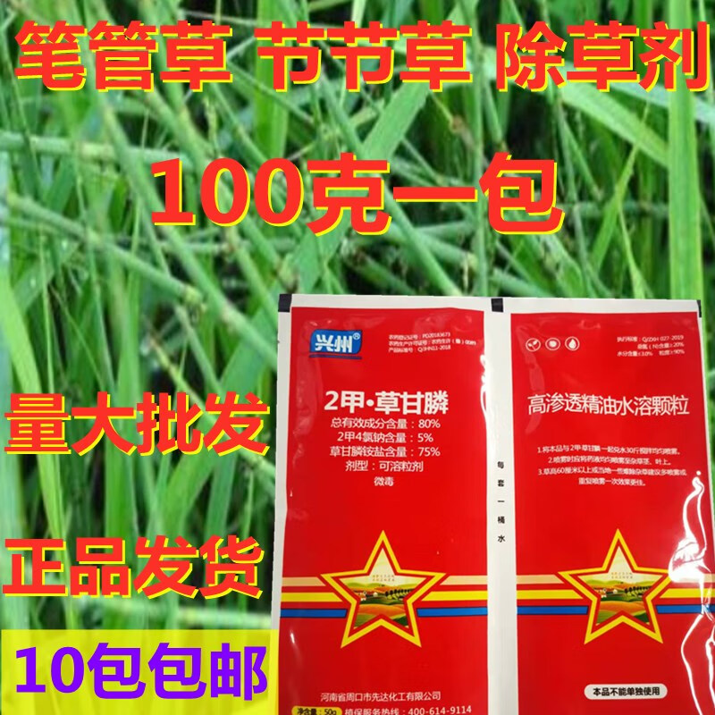 奥泽禾2甲草甘膦除草烂根剂一扫光杀节节草笔筒草笔管草除草剂农药