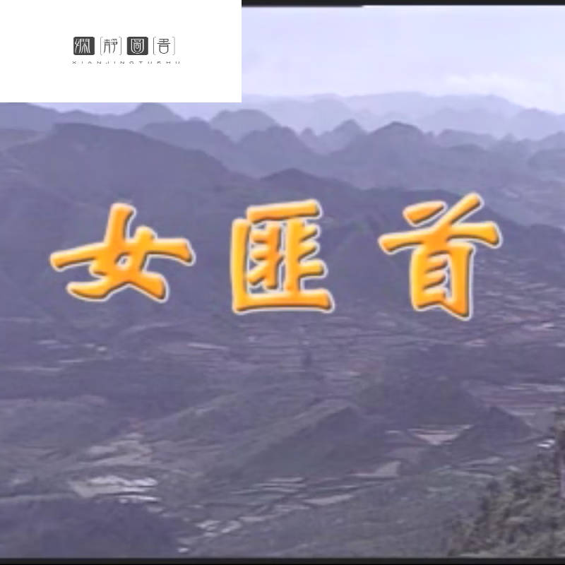 原盘电视剧女匪首 黔东剿匪记 10集全 盒装10碟 VCD碟片光盘 D碟片光盘 D碟片光盘