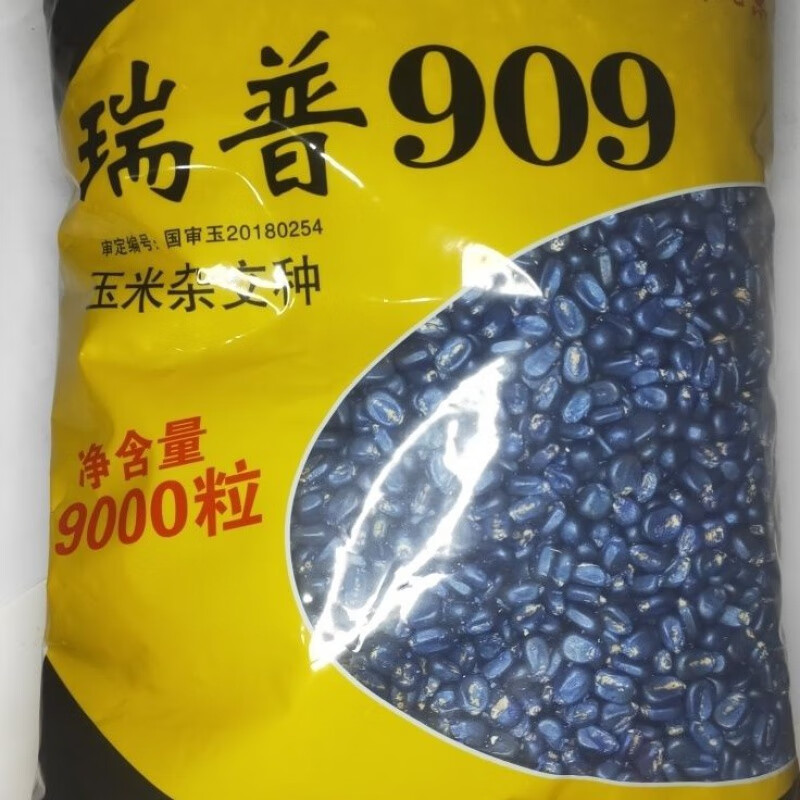 瑞普909 9000粒装(2024年新种子)