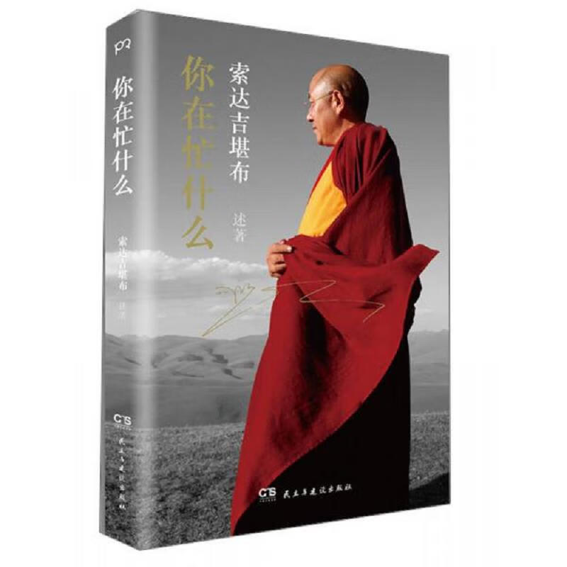 [正版图书] 你在忙什么 民主与建设出版社 索达吉堪布 9787513905855