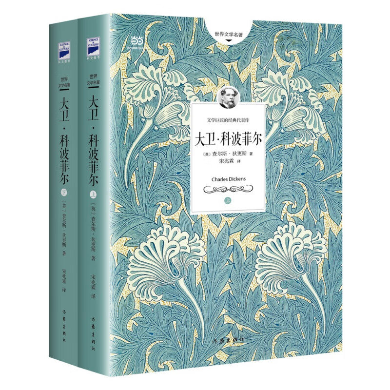 大卫科波菲尔（狄更斯传奇自传性小说，翻译家宋兆霖全译本）