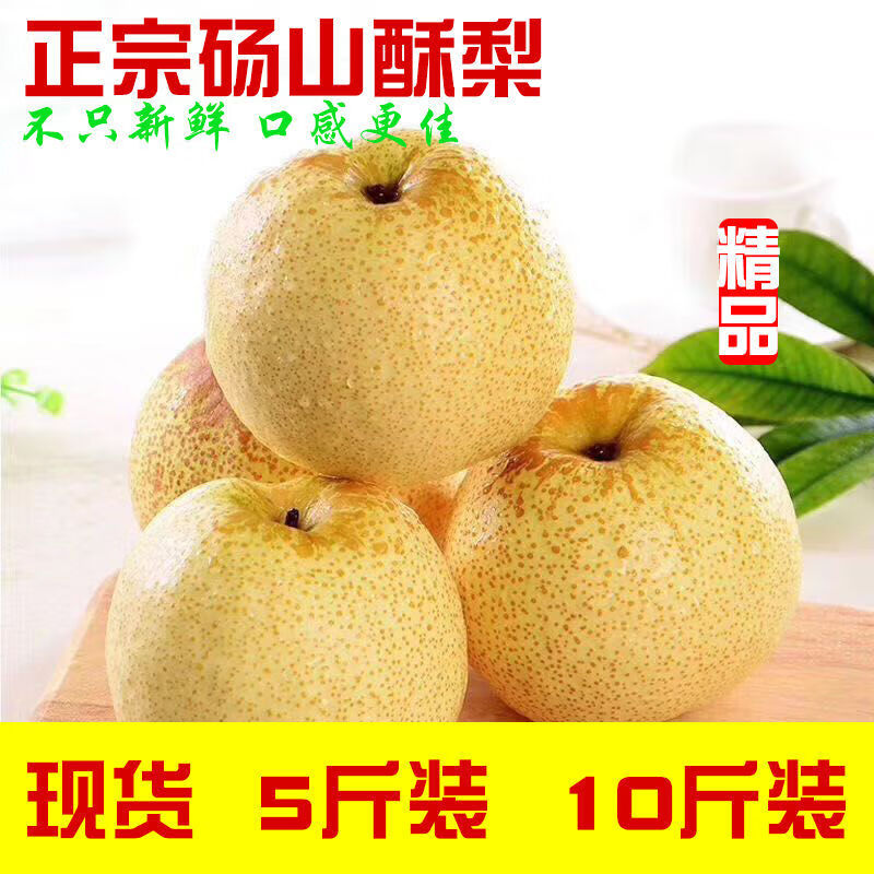 【年货精选】砀山酥梨新鲜水果现摘百年砀山白酥梨2/5/10斤