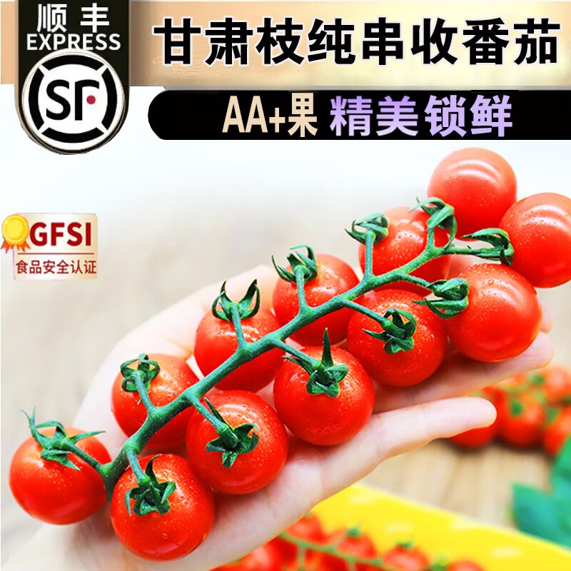 舅甜果蔬甘肃枝纯小番茄【顺丰闪送】新鲜串枝樱桃小番茄西红柿孕妇