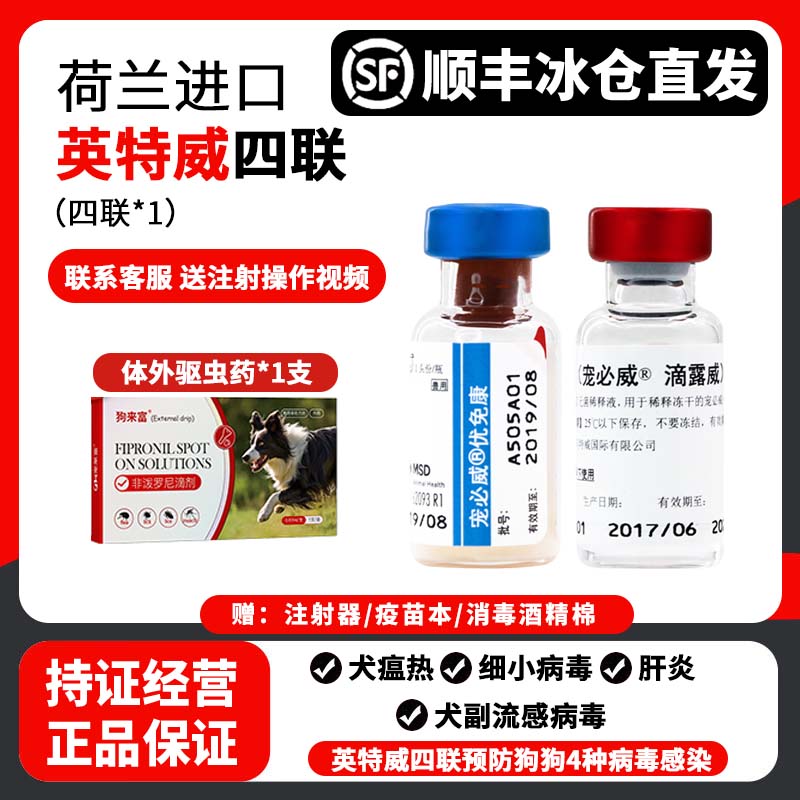 【英特威】四联 驱虫药1支