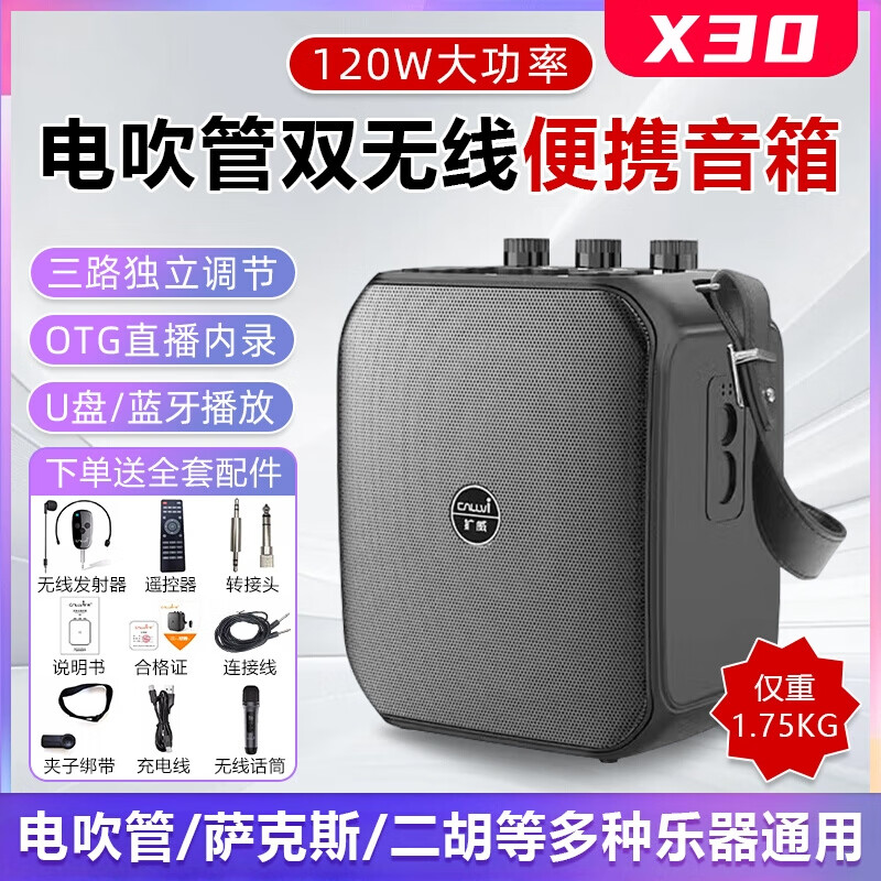 擴威X30電吹管薩克斯雙無線擴音音箱內(nèi)錄直播戶外K歌拾音器樂器音響 X30【標準配置】