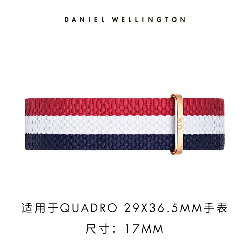 丹尼尔惠灵顿（DanielWellington）DW原装表带17mm彩色编织带男款DW00200296（适用29*36.