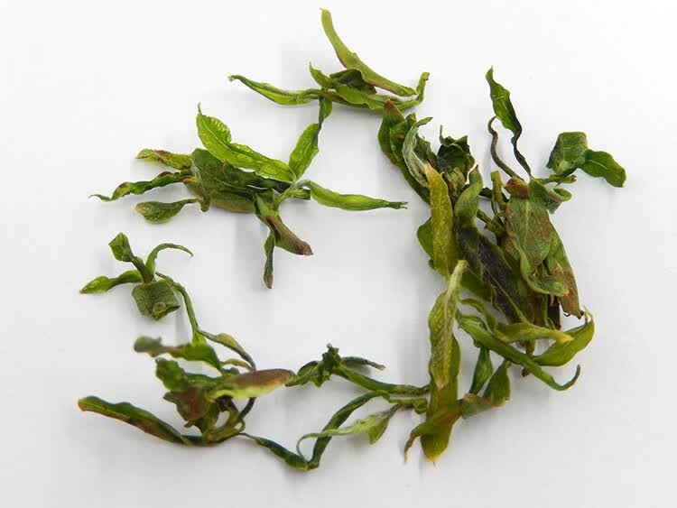 【药店直售】柳叶茶野生晒干柳树叶柳芽茶柳尖茶嫩杨柳叶垂柳叶新 mt