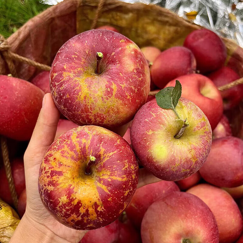 鲸咚亿农盐源冰糖心丑苹果四川大凉山糖心丑苹果脆甜新鲜水果年货礼盒 9.5-10斤大果精选带箱净重8.6斤