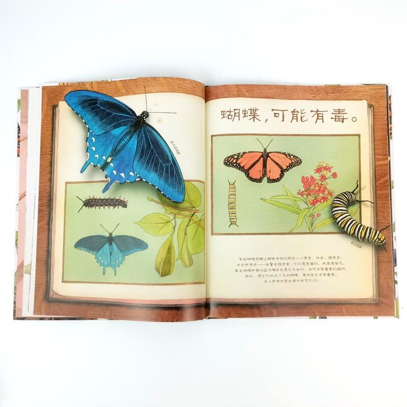美丽成长科普绘本丛书（全5册）科技部全国优秀科普作品，给孩子的自然生态与生命教育绘本暑假阅读暑假课外书课外暑假自主阅读暑期假期读物详情图