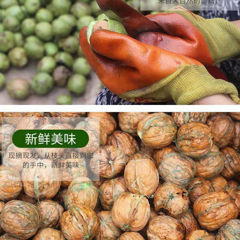 译蒙之味【顺丰】四川大凉山新鲜湿核桃去青皮核桃薄皮绿皮现摘生嫩山黑桃 净重5斤【核桃夹+网兜+彩箱】