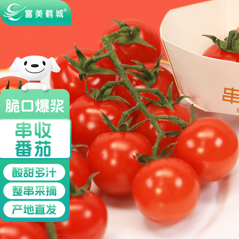 富美鹤城串收樱桃番茄新鲜小西红柿酸甜多汁生吃水果番茄198g*4盒源头直发