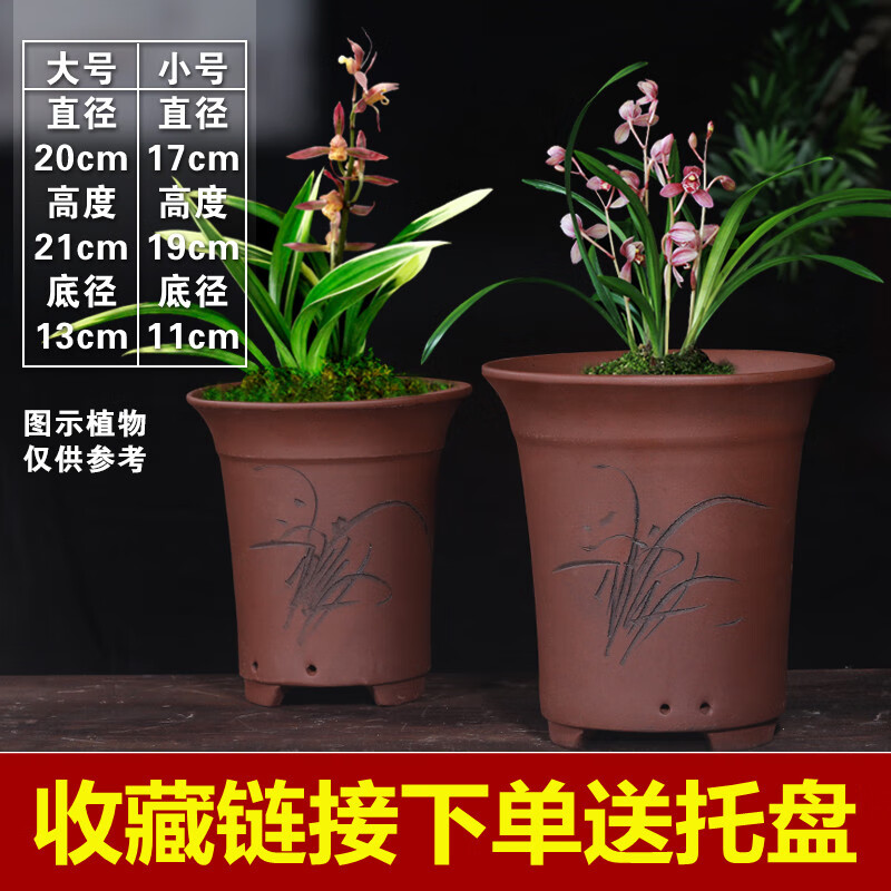 圣科莱四方紫砂花盆君子兰专用花盆种树花盆深高盆陶瓷花盆 促销款