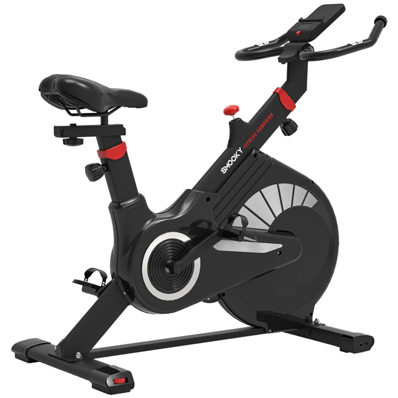 德国XOOKY家用动感单车磁控静音健身车智能运动健身器材 豪华款/GT01黑色