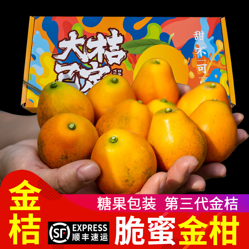 骄瑰 大桔已定脆蜜金柑广西融安滑皮金桔特大新鲜应季水果礼盒 顶果11