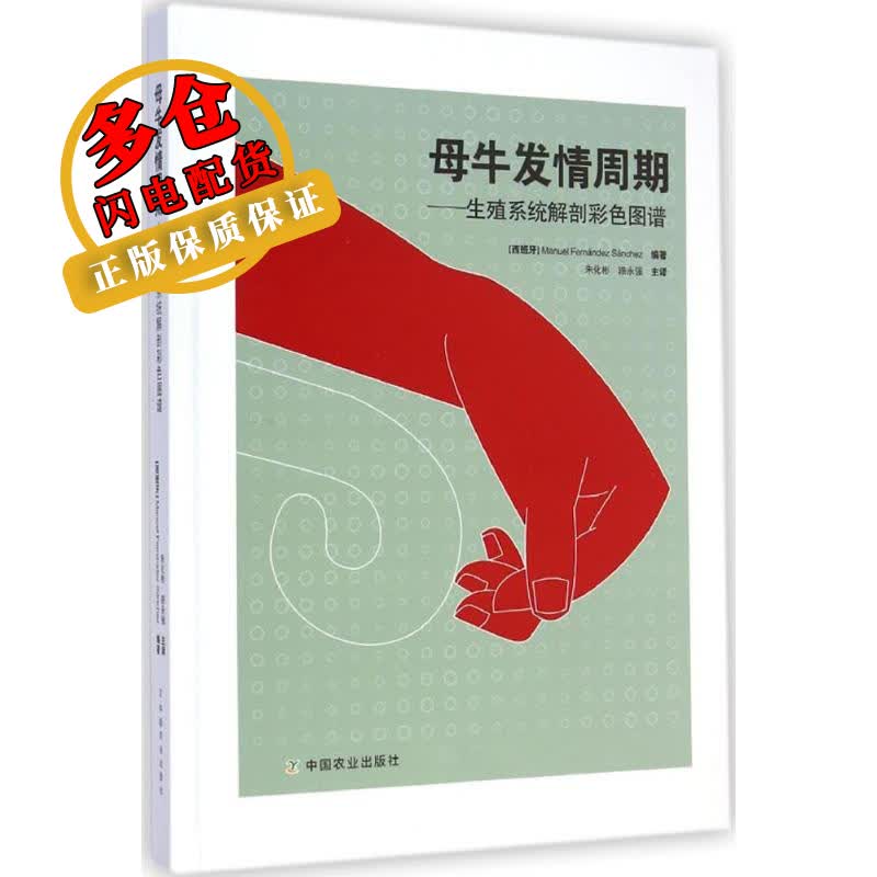 母牛发情周期
