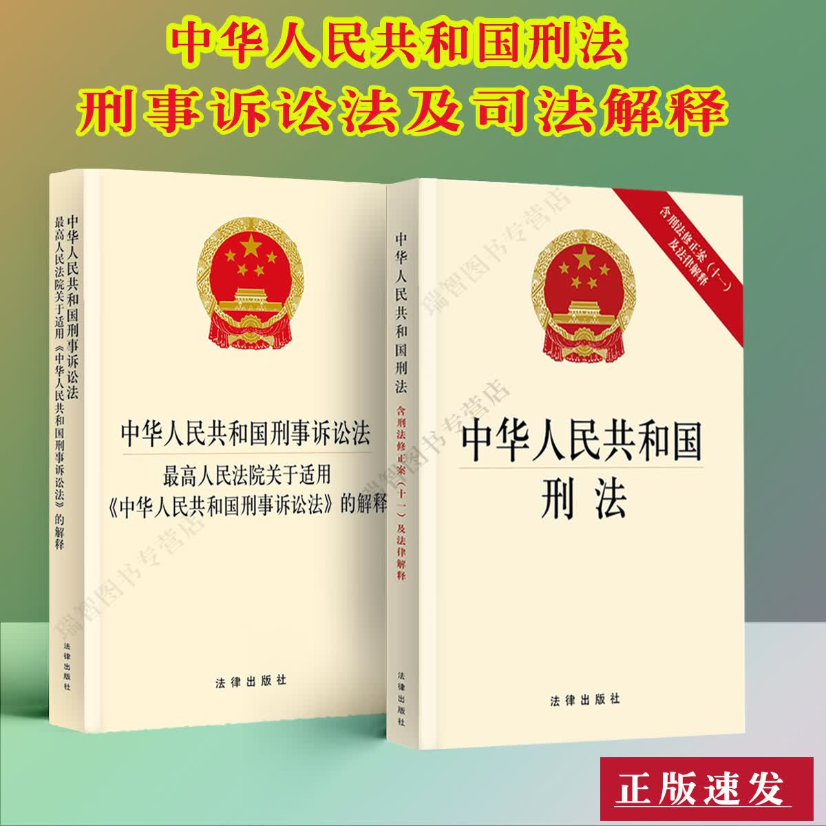正版中华人民共和国刑法含刑法修正案十一 刑事诉讼法司法解释最高人民法院关于适用的解释法律