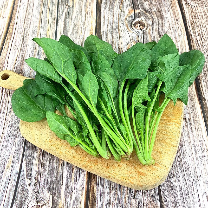 新鲜菠菜 火锅食材 新鲜采摘时令蔬菜 1斤