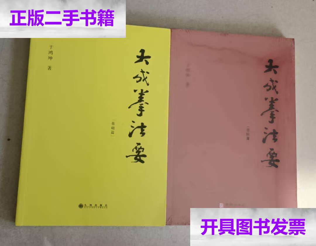 【二手9成新】大成拳法要 基础篇 进阶篇 二册 /于鸿坤 华龄