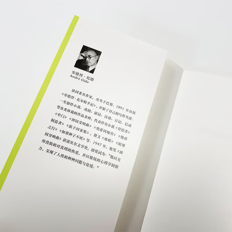 关于陀思妥耶夫斯基的六次讲座 图书
