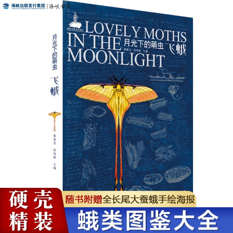 【现货速发】官方正版 月光下的萌虫——飞蛾 黄嘉龙徐堉峰 昆虫纲鳞翅目昆虫海峡书局 蛾类昆虫图鉴采集趣味标本自然科普百科类书籍读物 黄嘉龙 徐堉峰