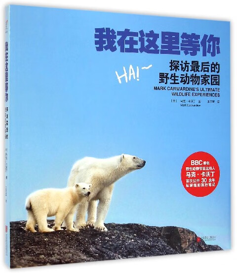 我在这里等你(探访最后的野生动物家园)(精)